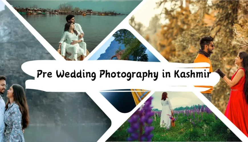 Pre Wedding Shoot in Kashmir