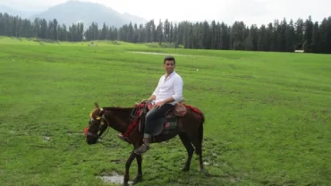 Gardens in Jammu & Kashmir