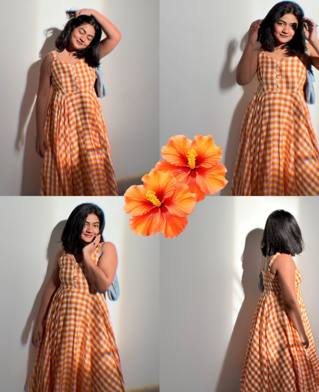 Darling ghingham Dress