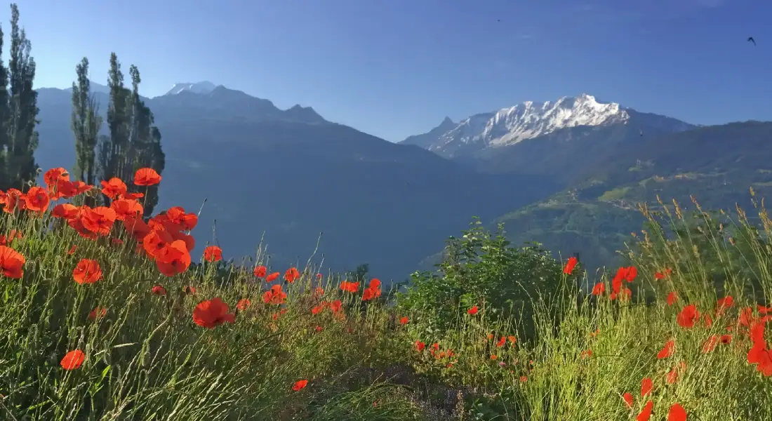 Top-Eco-Friendly-Destinations-to-Visit-in-Kashmir