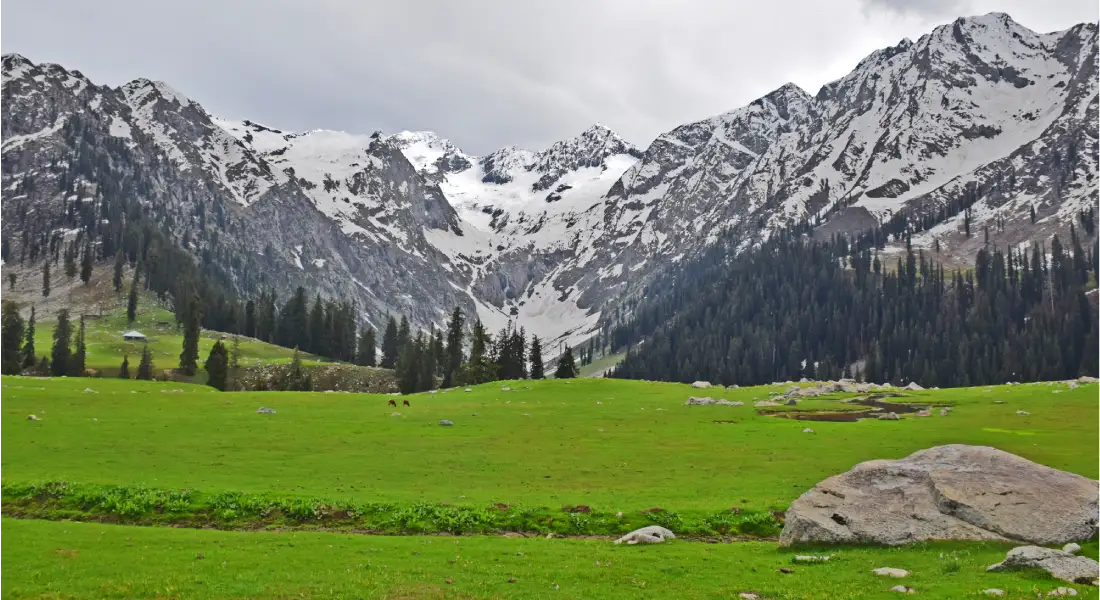 kashmir-kashmirhills.com-2