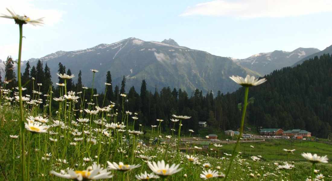 Kashmirhills.com
